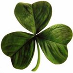 Shamrock ("three-leaf clover")